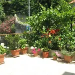 House Boninovo 3*