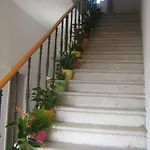 House Boninovo 3*