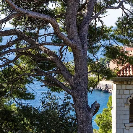 House Boninovo (adults Only) 3*