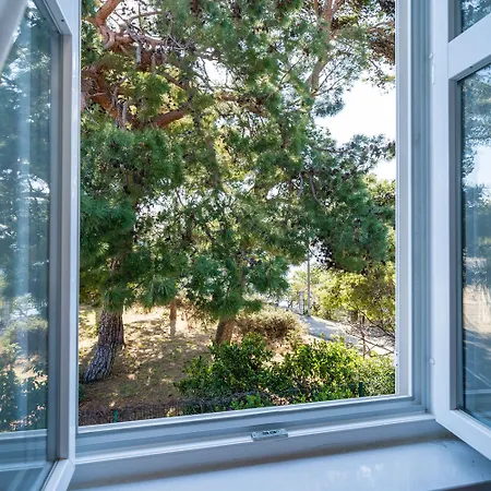 하우스 보니노보